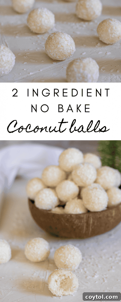 Easy 2-ingredient no bake coconut holiday balls, perfect for festive occasions.