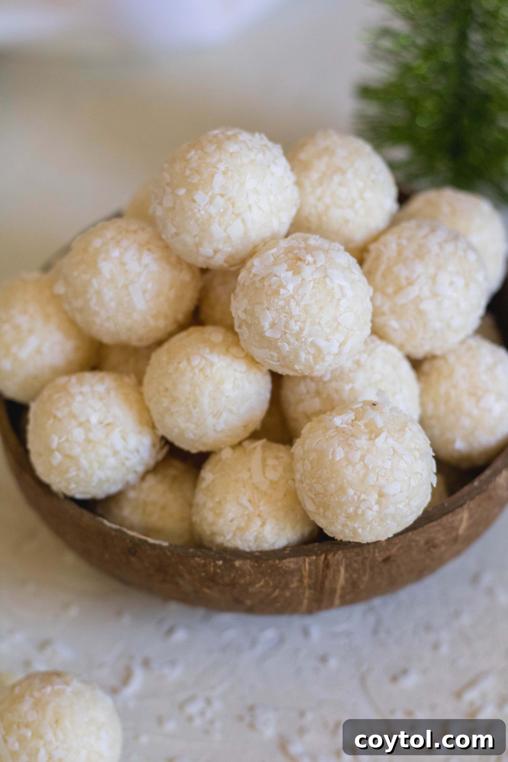 Finished plate of chilled 2-ingredient no-bake coconut balls, ready to serve.
