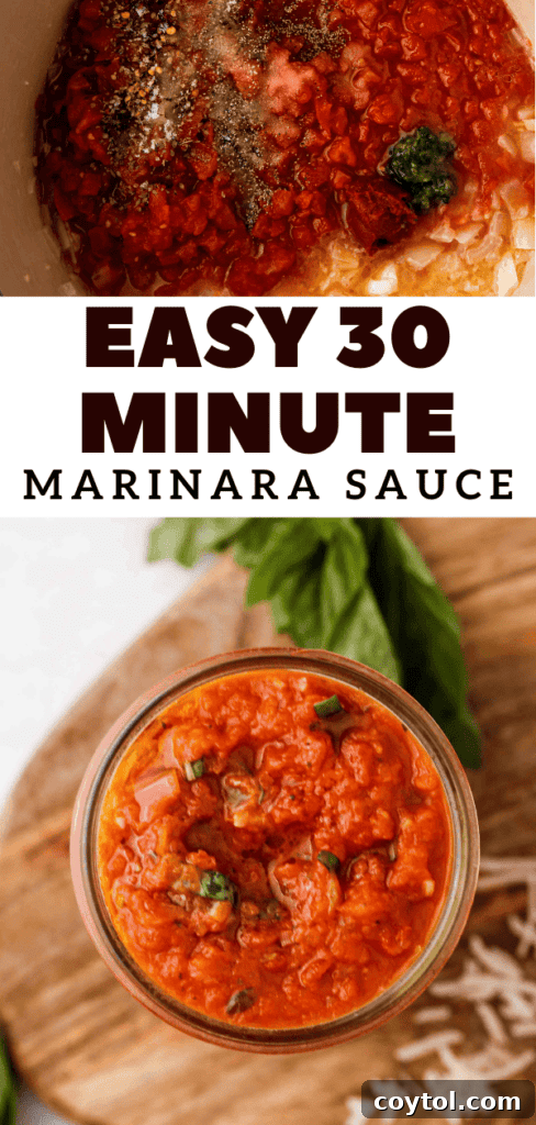 Speedy Homemade Marinara in 30 Minutes 19 Pinterest pin titled 'quick pasta sauce' with a focus on fresh tomatoes and basil.