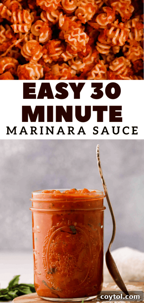 Speedy Homemade Marinara in 30 Minutes 20 Pinterest pin for 'quick pasta sauce' showcasing a simple, elegant dish.