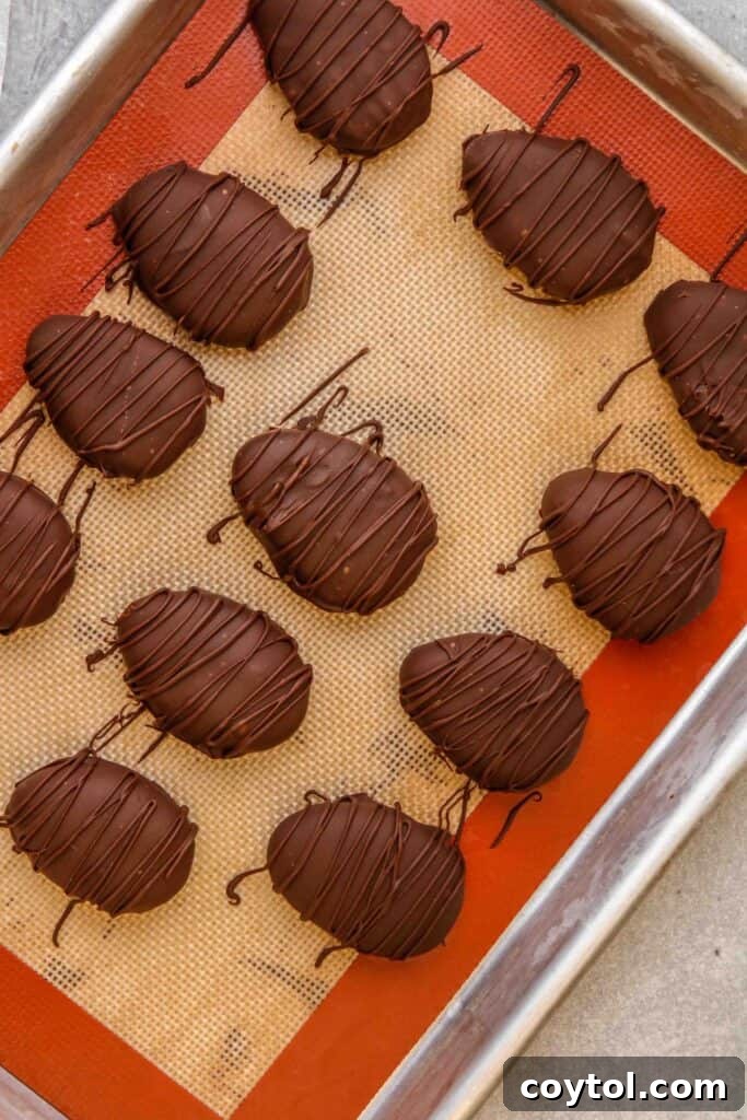 Drizzled chocolate on peanut butter bites