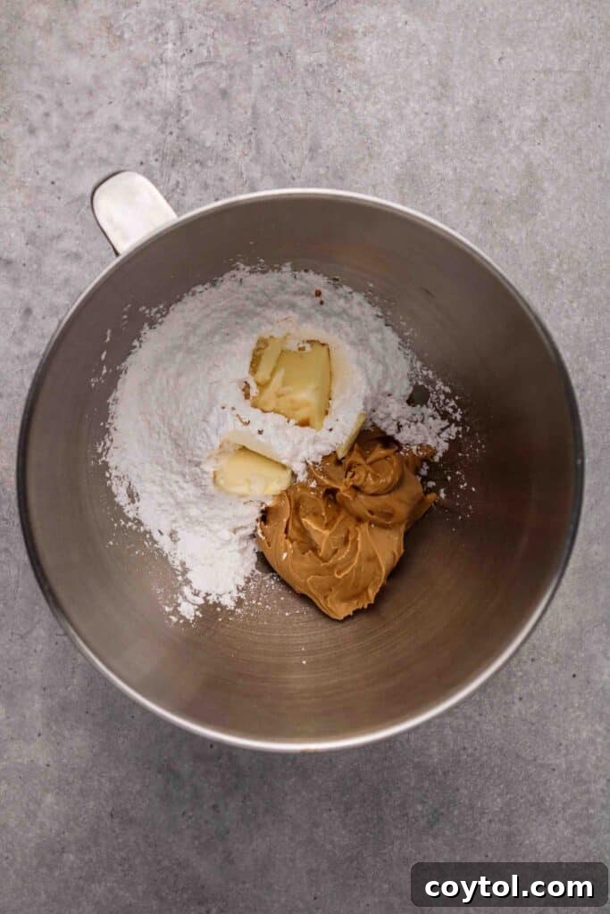 Mix all the ingredients of the peanut butter eggs together