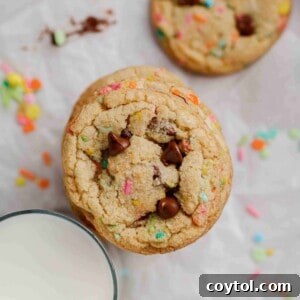 Overhead shot of spring chocolate chip cookies