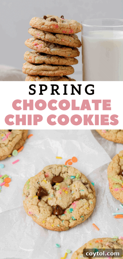 Easter chocolate chip cookies with a beautiful sprinkle topping.