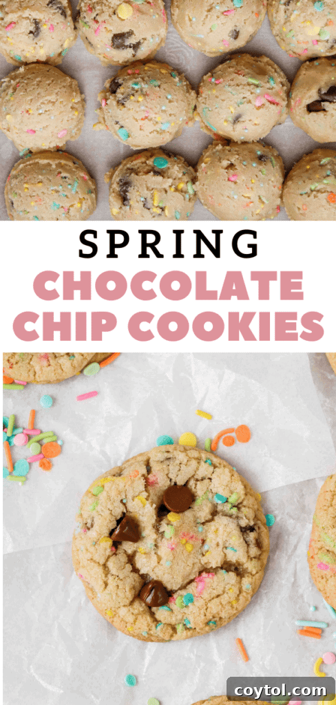 A festive close-up of Easter chocolate chip cookies.