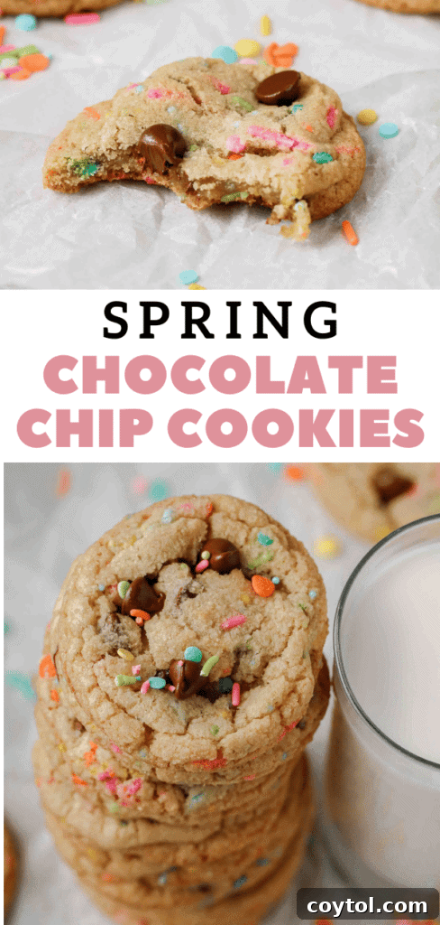 Delicious Easter chocolate chip cookies ready to be served.