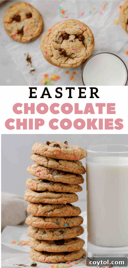 Simple and delicious spring chocolate chip cookies recipe.