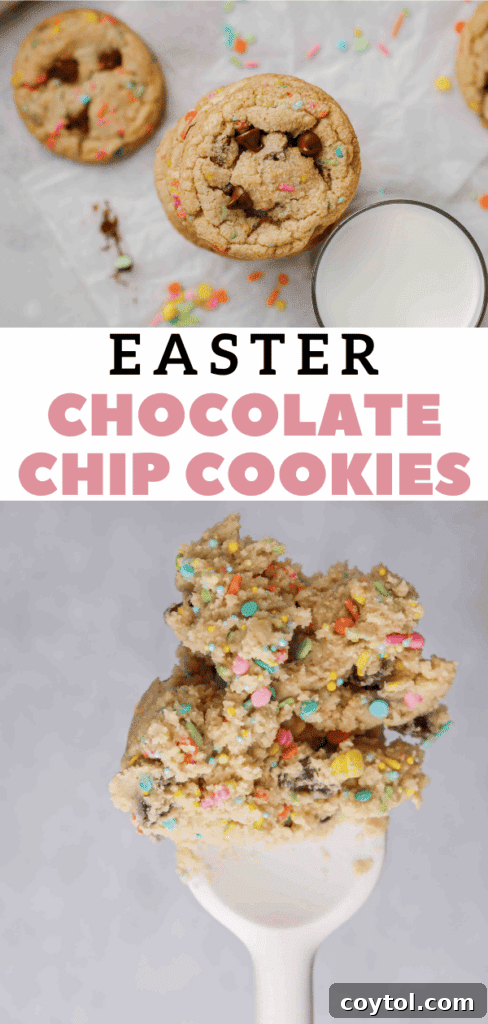 Quick and easy spring chocolate chip cookies for any occasion.