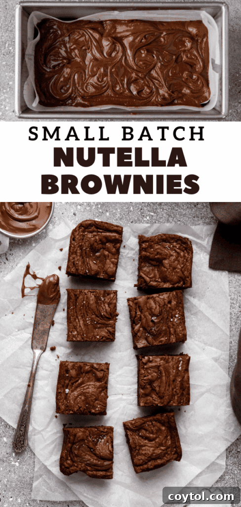Small Batch Fudgy Nutella Brownie Loaf 21 Small batch Nutella brownies recipe