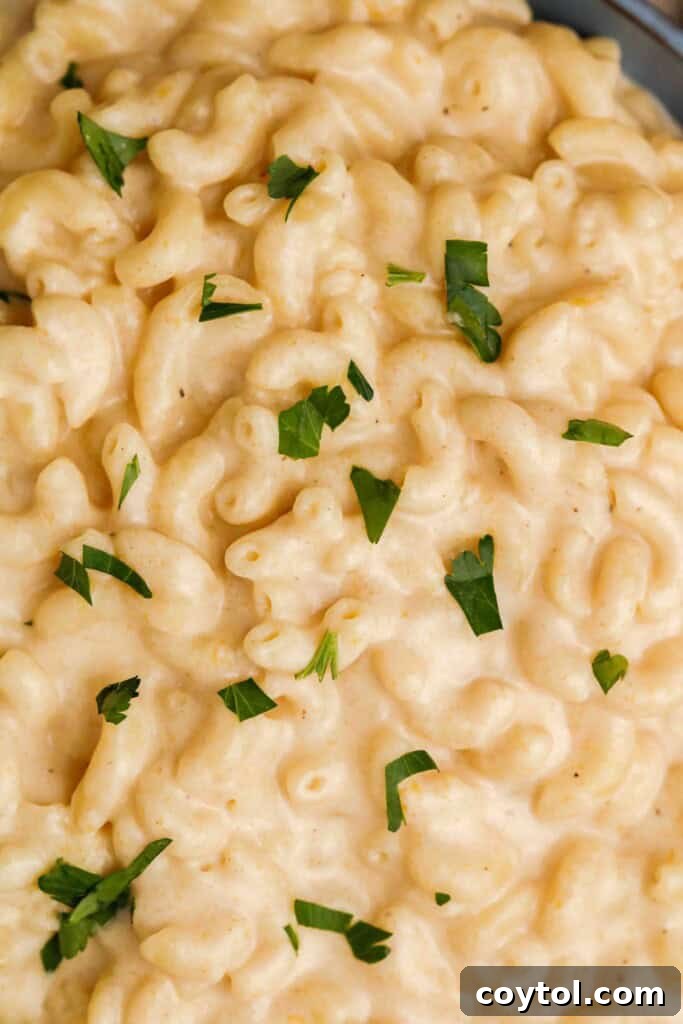 Unforgettable Stovetop Mac and Cheese 14 Close up of the creamy, cheesy mac and cheese