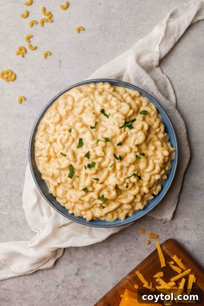 Unforgettable Stovetop Mac and Cheese 16 Overhead shot of a plate of stovetop mac and cheese