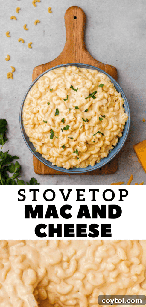 Unforgettable Stovetop Mac and Cheese 19 Cheesy pasta, perfect for pinning