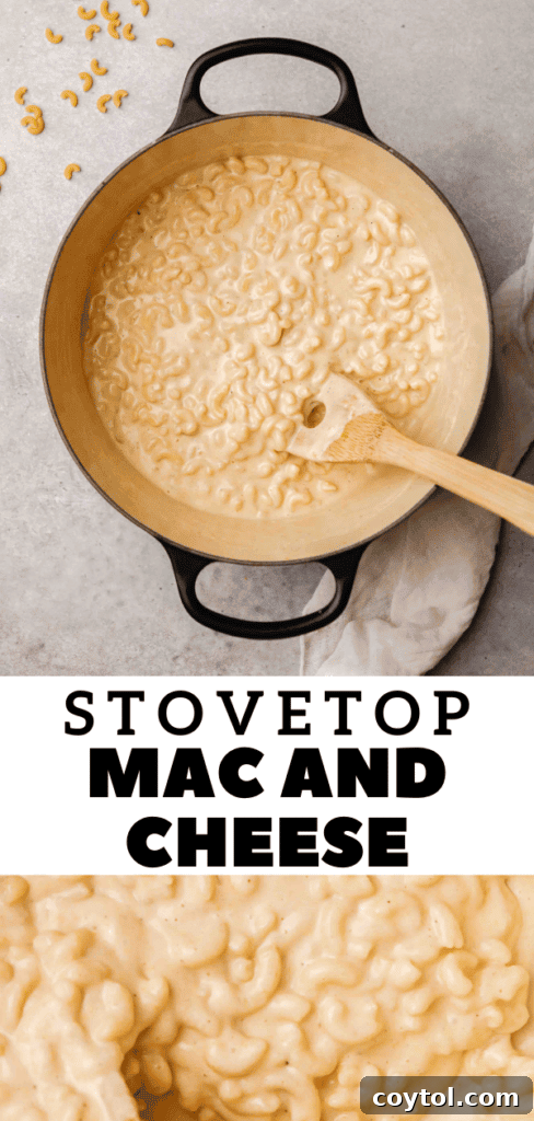 Unforgettable Stovetop Mac and Cheese 20 Stovetop mac and cheese recipe idea