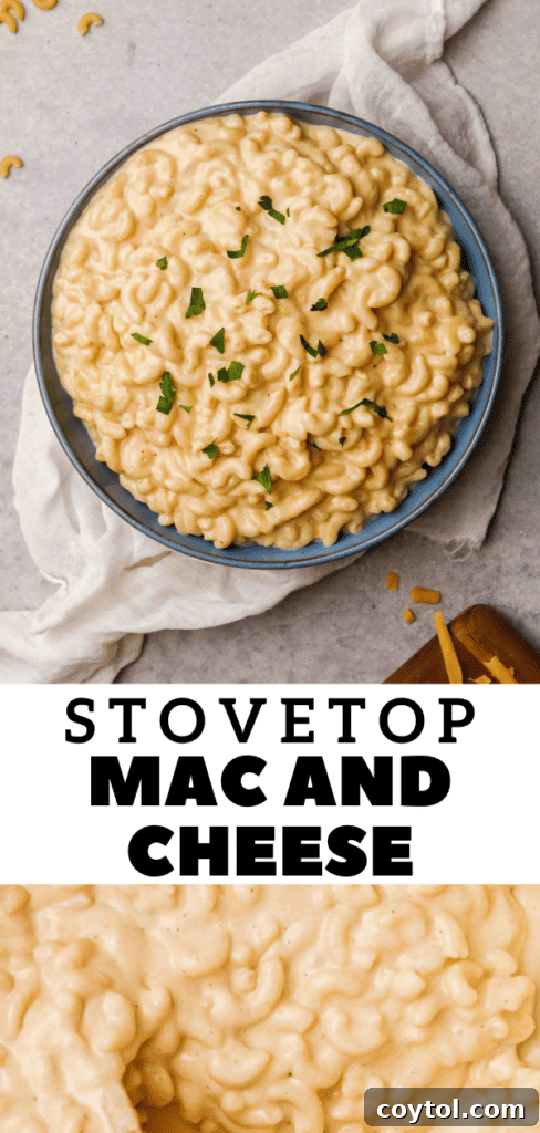 Unforgettable Stovetop Mac and Cheese 21 Delicious cheesy pasta