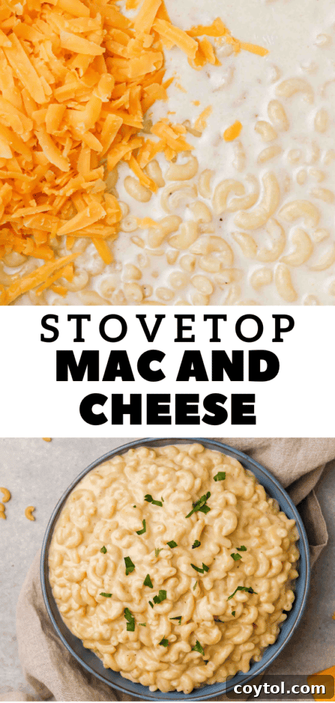 Unforgettable Stovetop Mac and Cheese 22 Creamy cheddar pasta