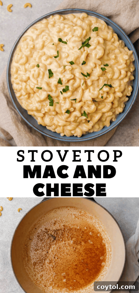 Unforgettable Stovetop Mac and Cheese 23 Easy macaroni and cheese recipe