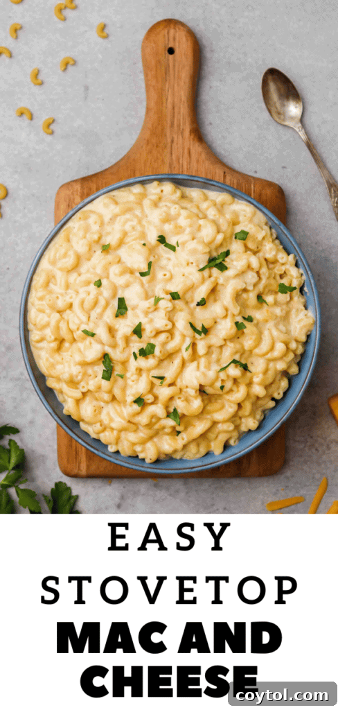 Unforgettable Stovetop Mac and Cheese 27 Cheddar pasta close up