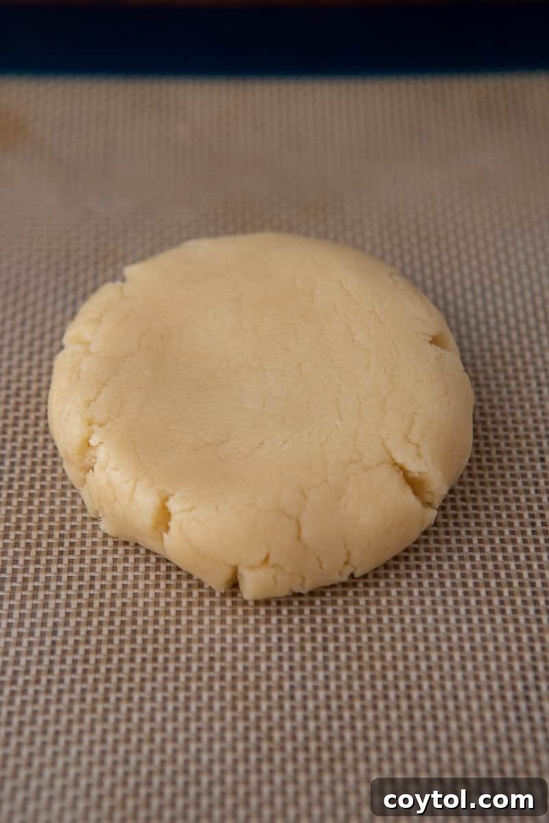 Crumbl Style Chilled Sugar Cookies 10 Unfrosted sugar cookie ready for frosting