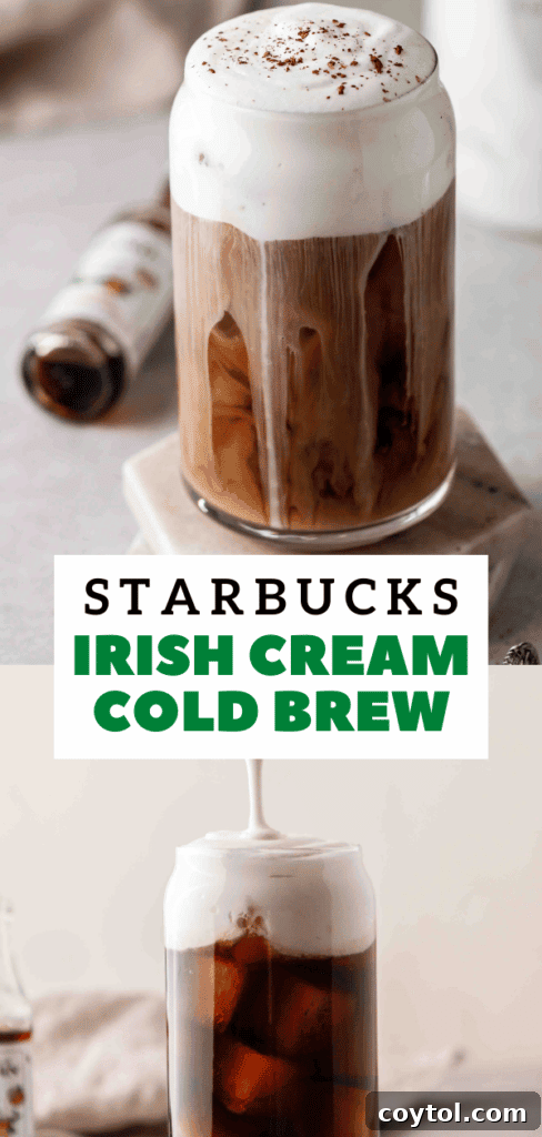 The Ultimate Starbucks Irish Cream Cold Brew 17 Homemade cold brew coffee