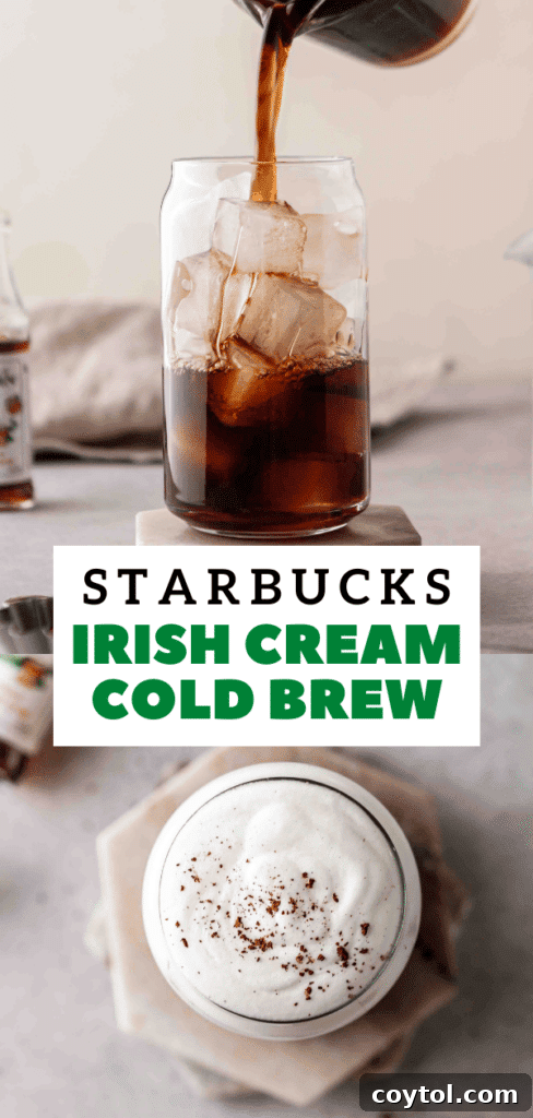The Ultimate Starbucks Irish Cream Cold Brew 18 Homemade cold brew coffee