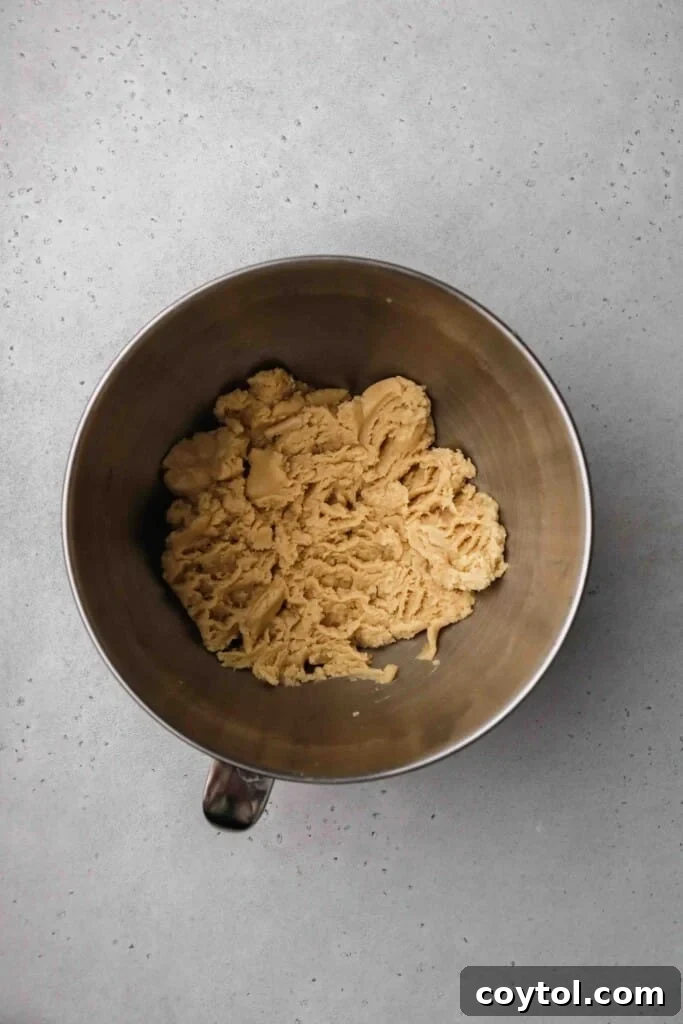 Soft sugar cookie dough in a bowl