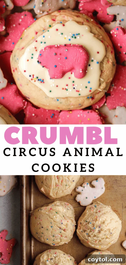 Pillowy Soft Crumbl Circus Animal Cookies 17 A trio of colorful circus animal sugar cookies.