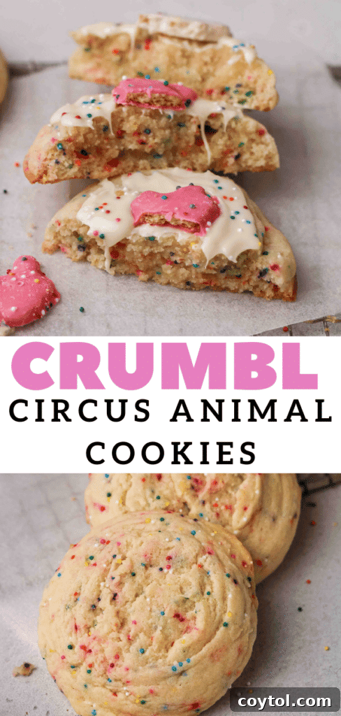 Pillowy Soft Crumbl Circus Animal Cookies 18 Close-up of a Crumbl circus animal cookie showing sprinkles and frosting.