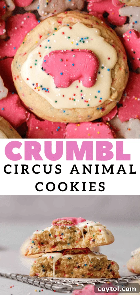 Pillowy Soft Crumbl Circus Animal Cookies 19 A selection of delicious Crumbl circus animal cookies.