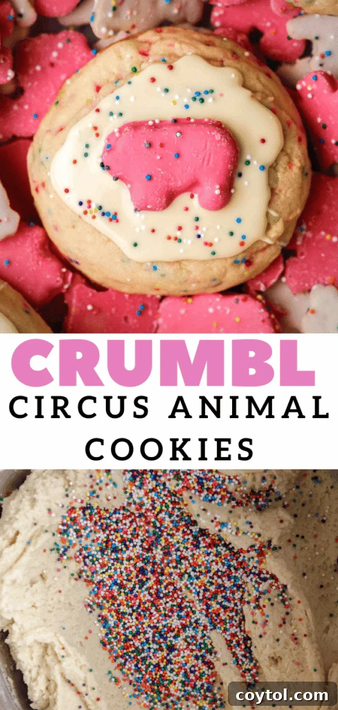 Pillowy Soft Crumbl Circus Animal Cookies 20 Beautifully frosted Crumbl circus animal cookies.