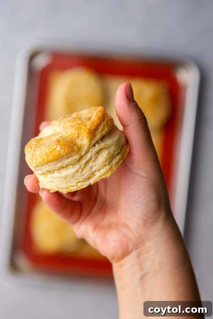 Hand holding flaky biscuit, showcasing its layers
