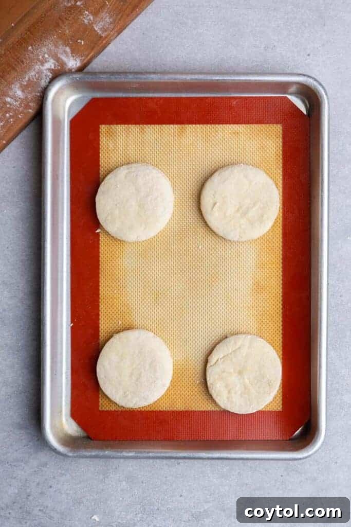 Raw biscuits on baking sheet, ready for oven
