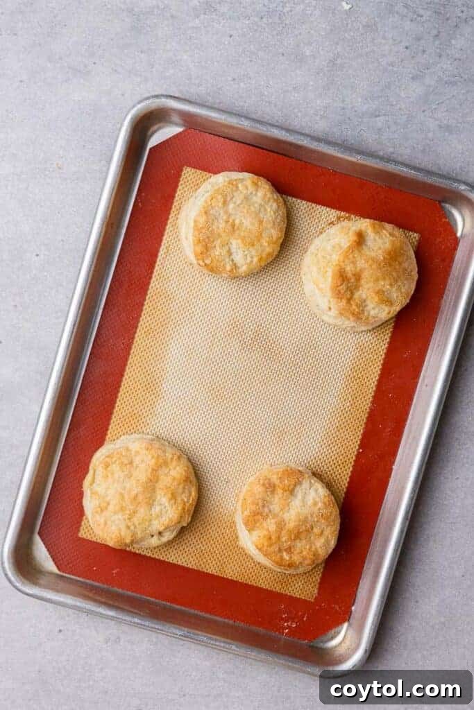 Baked biscuits on a cooling rack