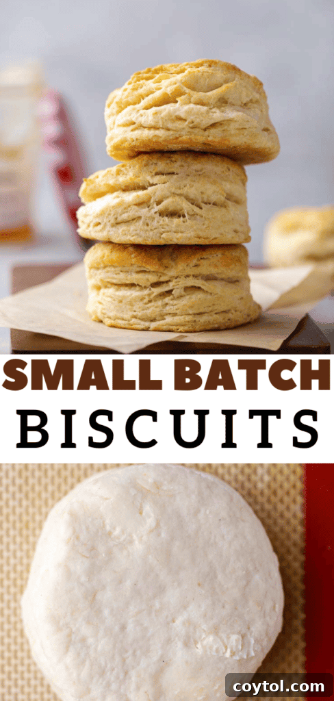 Small batch biscuits for two, a perfect quick bake