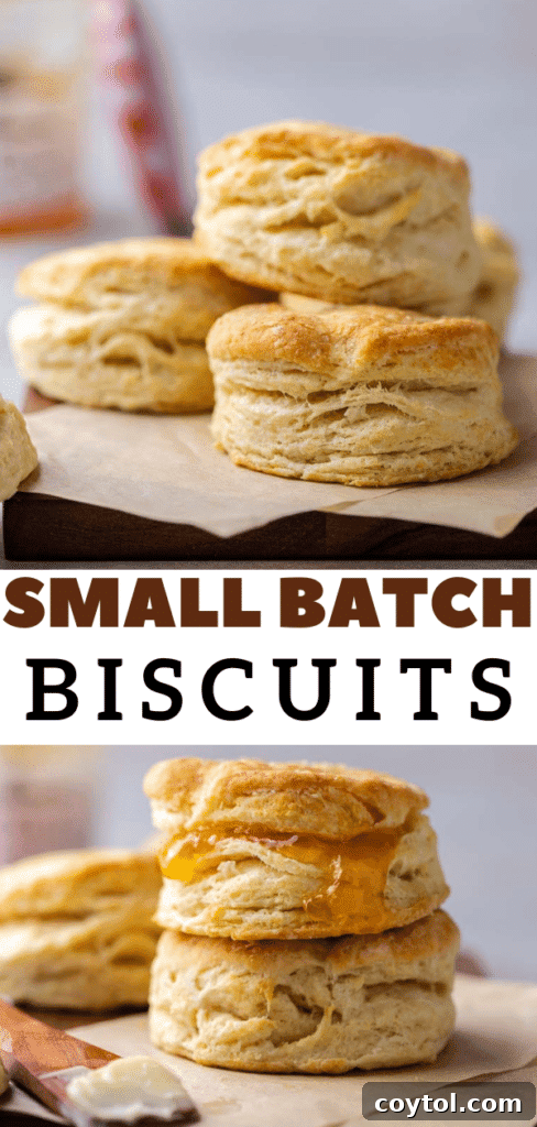 Fluffy small batch biscuits for a cozy meal