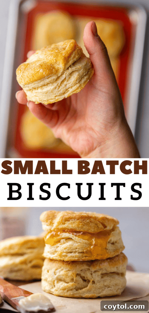 Buttery small batch biscuits, ideal for two