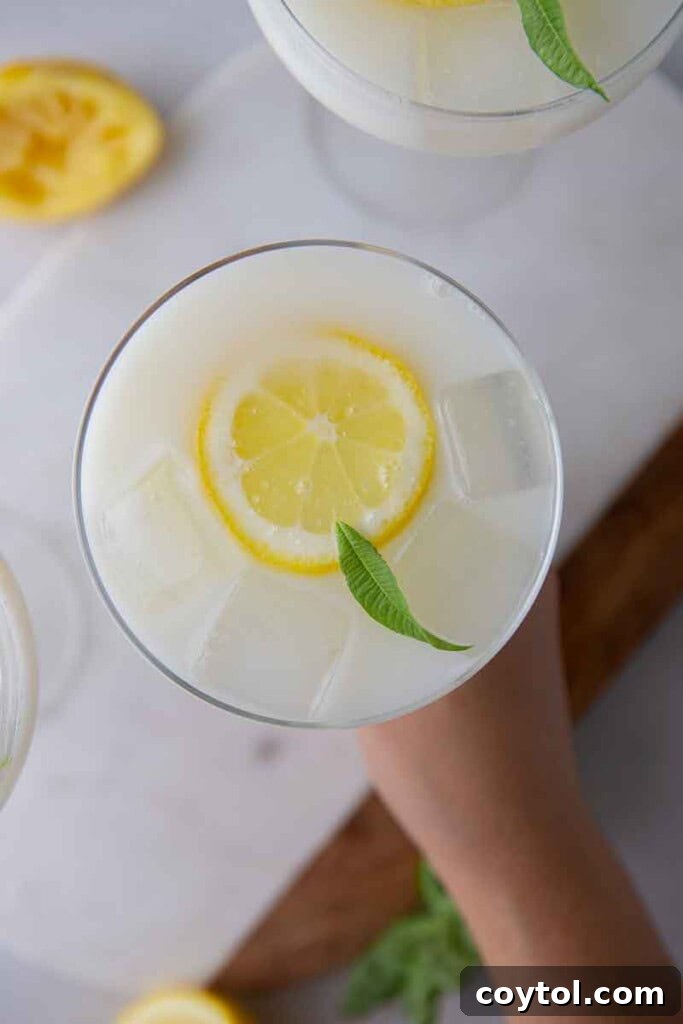 Creamy lemonade recipe for summer refreshment