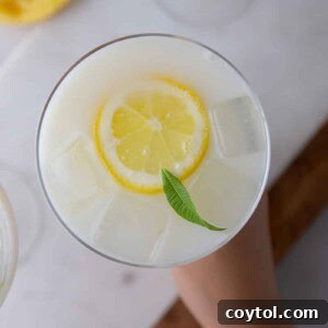 Creamy lemonade recipe with condensed milk