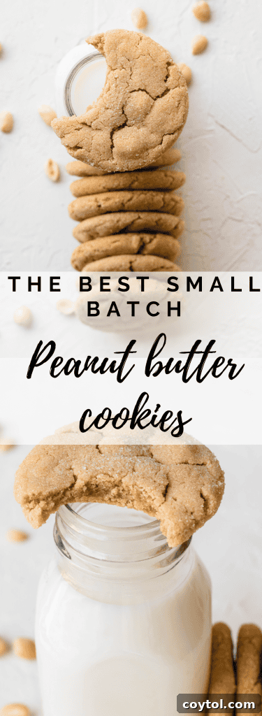 Soft and chewy peanut butter cookies