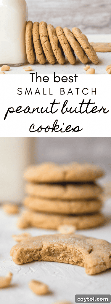 Soft and chewy peanut butter cookies