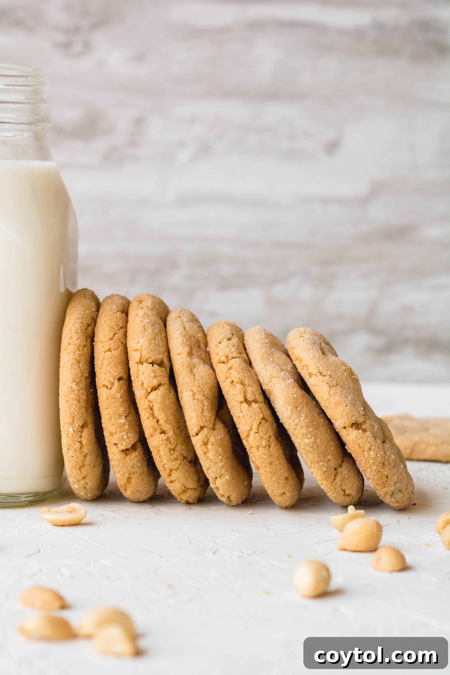 The best peanut butter cookie recipe