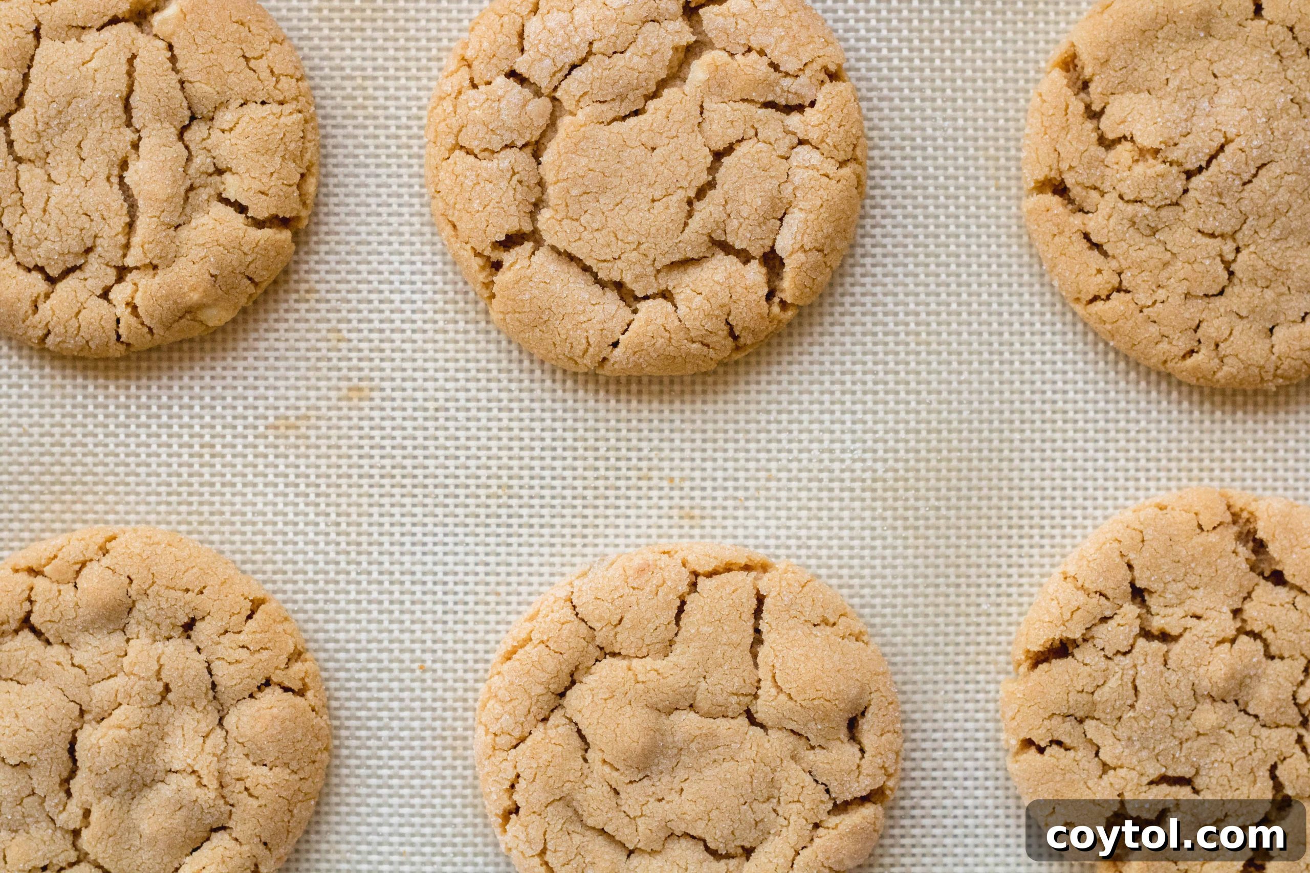 Baked small batch peanut butter cookies