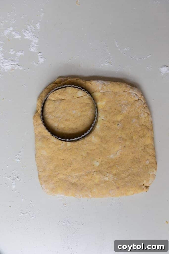 Folding pumpkin biscuit dough
