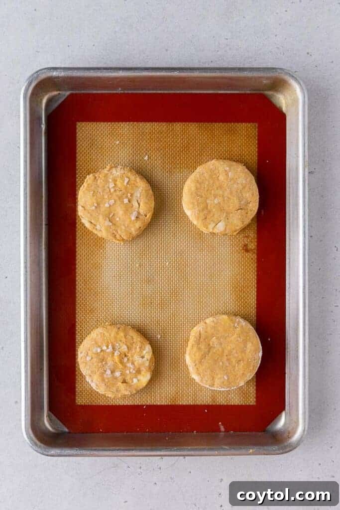Cut pumpkin biscuit dough before baking