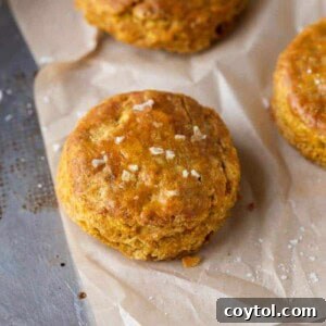 Pumpkin biscuits for one