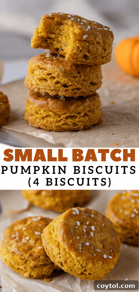 Pinterest pin showing 4 pumpkin biscuits
