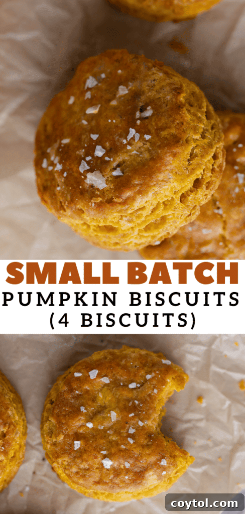Pinterest photo collage of pumpkin biscuits