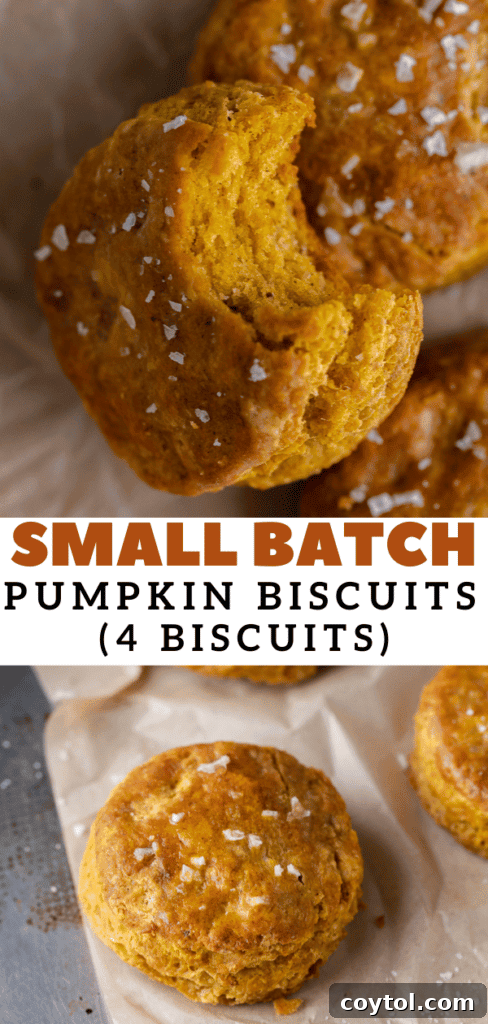 Another Pinterest photo collage for pumpkin biscuits