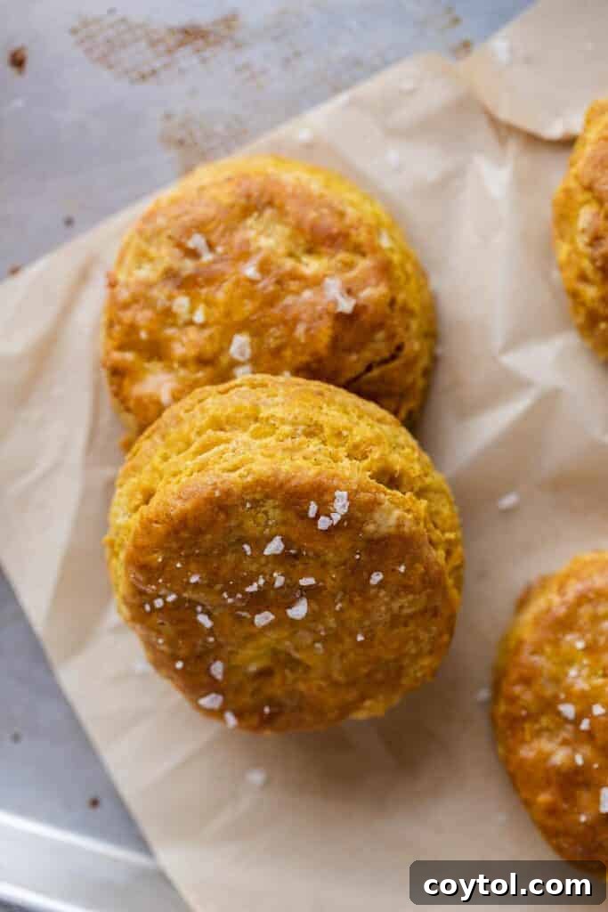 Close-up of flaky pumpkin biscuits