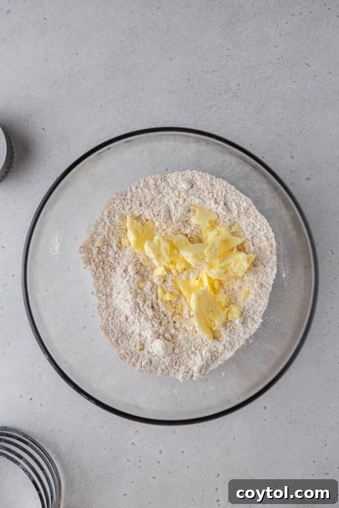 Cold butter with flour mixture for biscuits