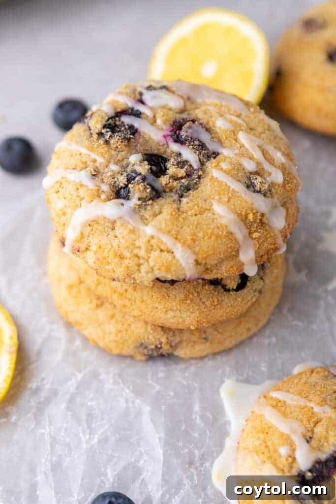 Soft Baked Blueberry Crumb Cake Cookies 12 CRUMBL blueberry crumb cake cookies